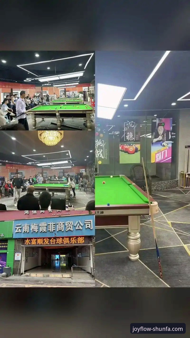 顺发娱乐平台最新版本使用指南：从下载到高效操作完整教程